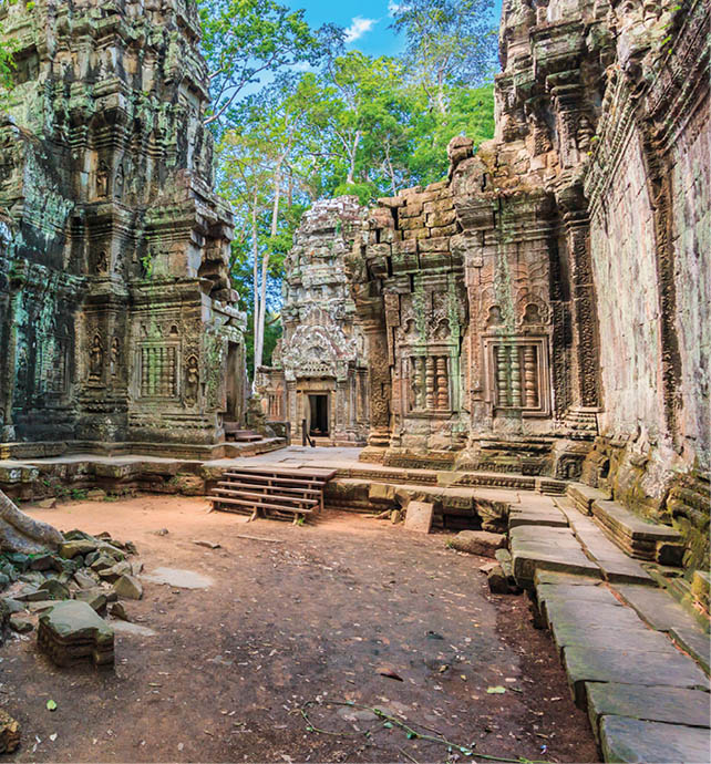 Ta Prohm Temple, Cambodia