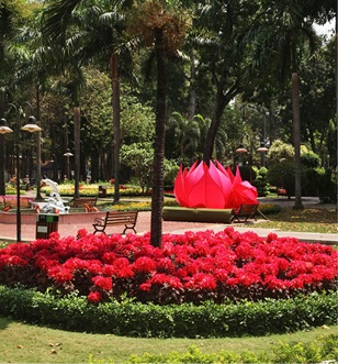 Tao Dan Park, Ho Chi Minh City