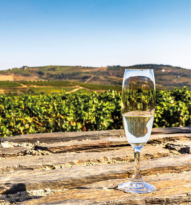 The history of Port wine Emerald Cruises