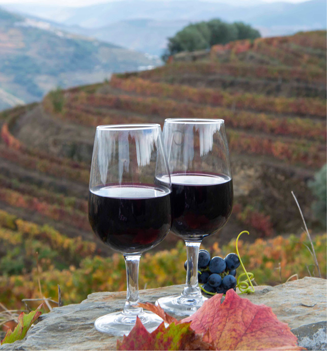 The history of Port wine Emerald Cruises