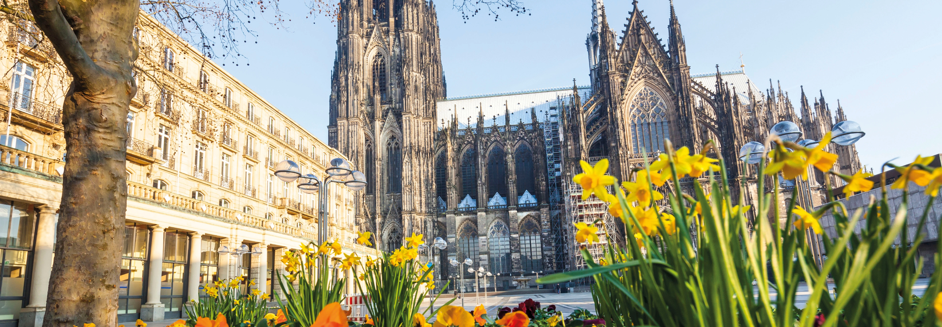 Cologne Cathedral in the springtime