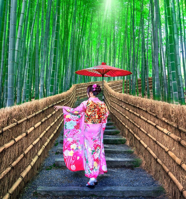 Geisha in a bamboo forest, Kyoto, Japan