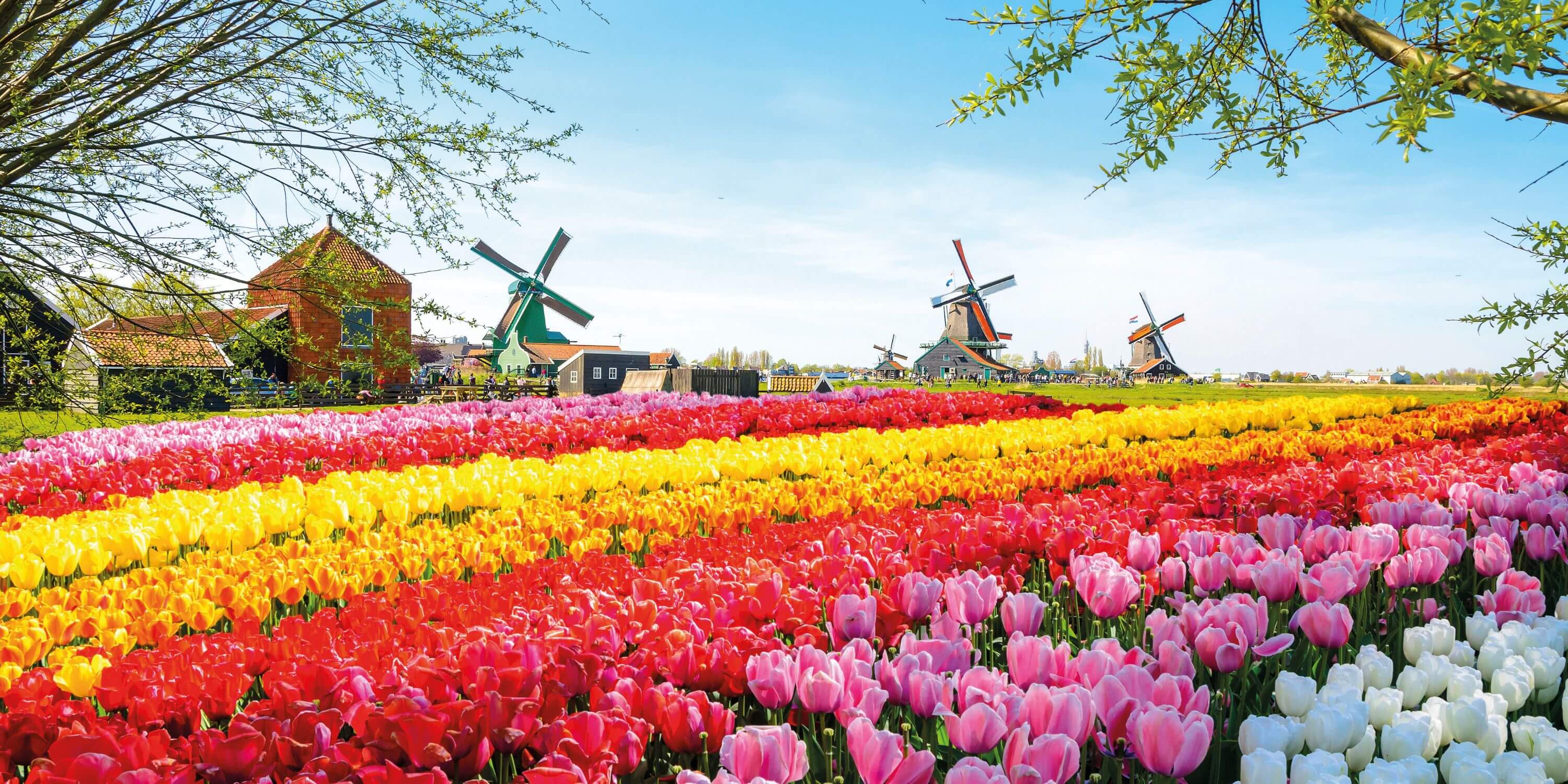 View of Keukenhof Gardens